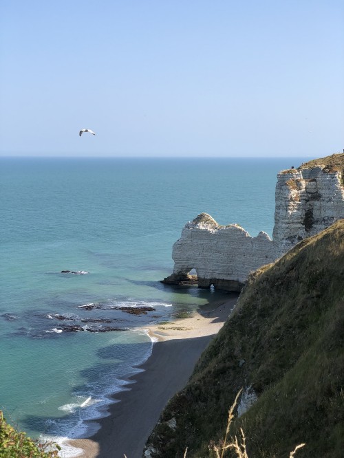 Image coast, sea, promontory, headland, water