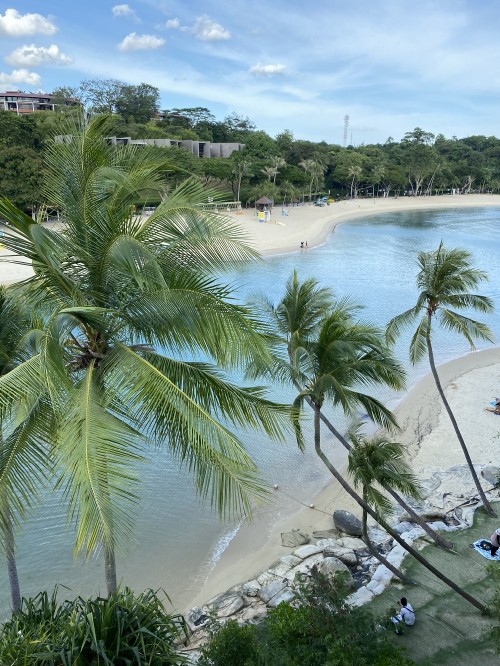 Image sea, beach, palm trees, water, tourism