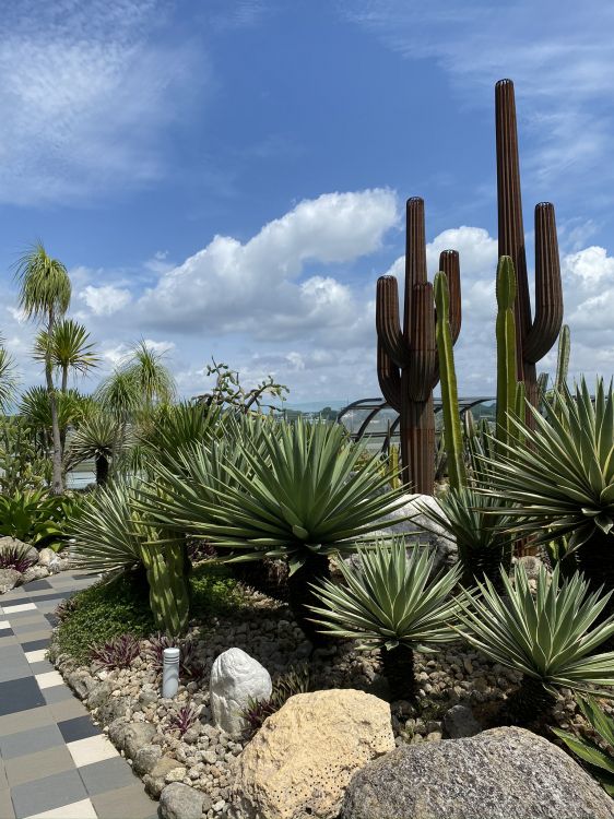 Végétation, Les Landes, Jardin Botanique, Palmier, Bleu Majorelle. Wallpaper in 1536x2048 Resolution