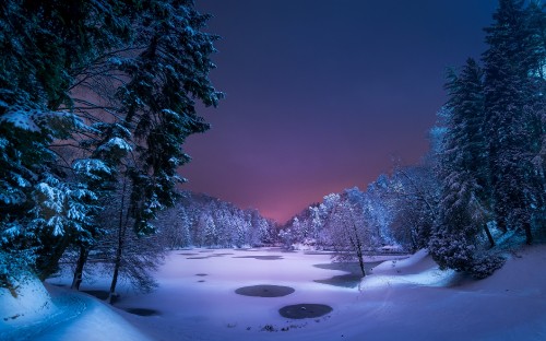 Image snow covered trees and lake