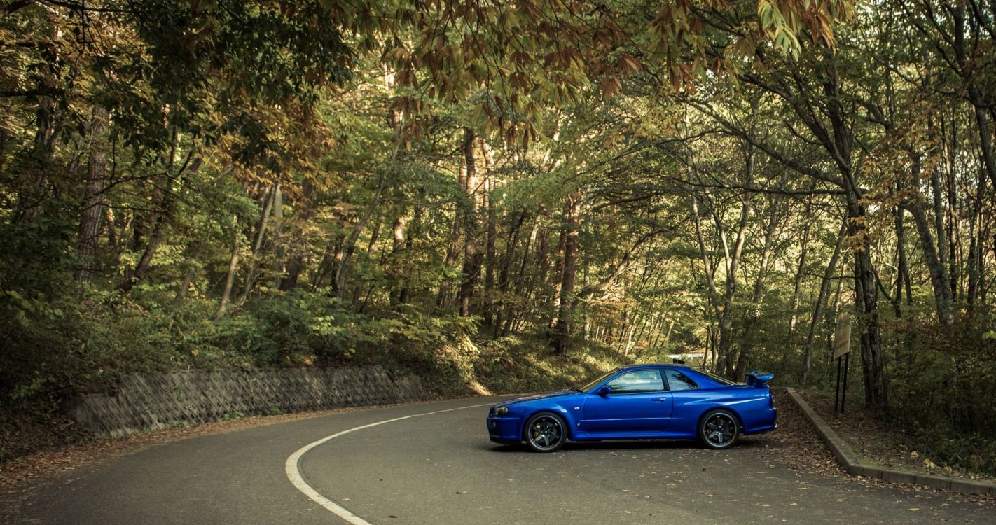 Coupé Bleu Sur Route Entre Les Arbres Pendant la Journée. Wallpaper in 4096x2160 Resolution