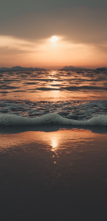 Image horizon, sea, water, sunset, sunrise