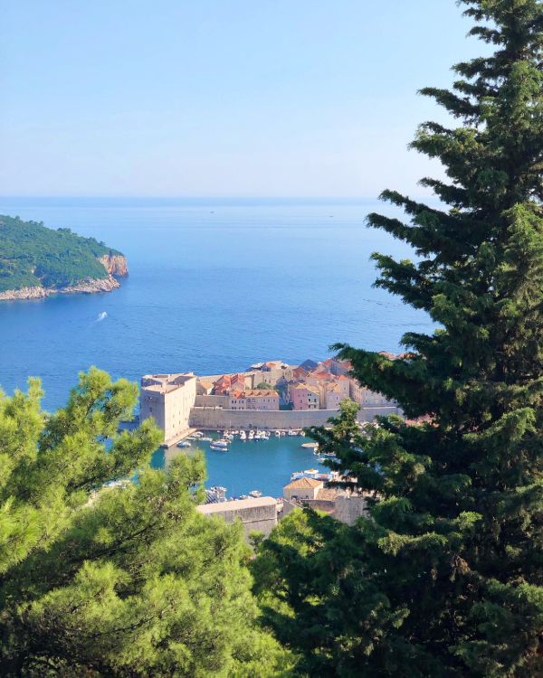 coast, mount scenery, body of water, azure, evergreen