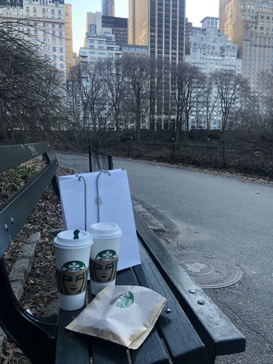 Central Park, Eau, Tour de Bloc, Bâtiment, Zone Urbaine. Wallpaper in 1536x2048 Resolution