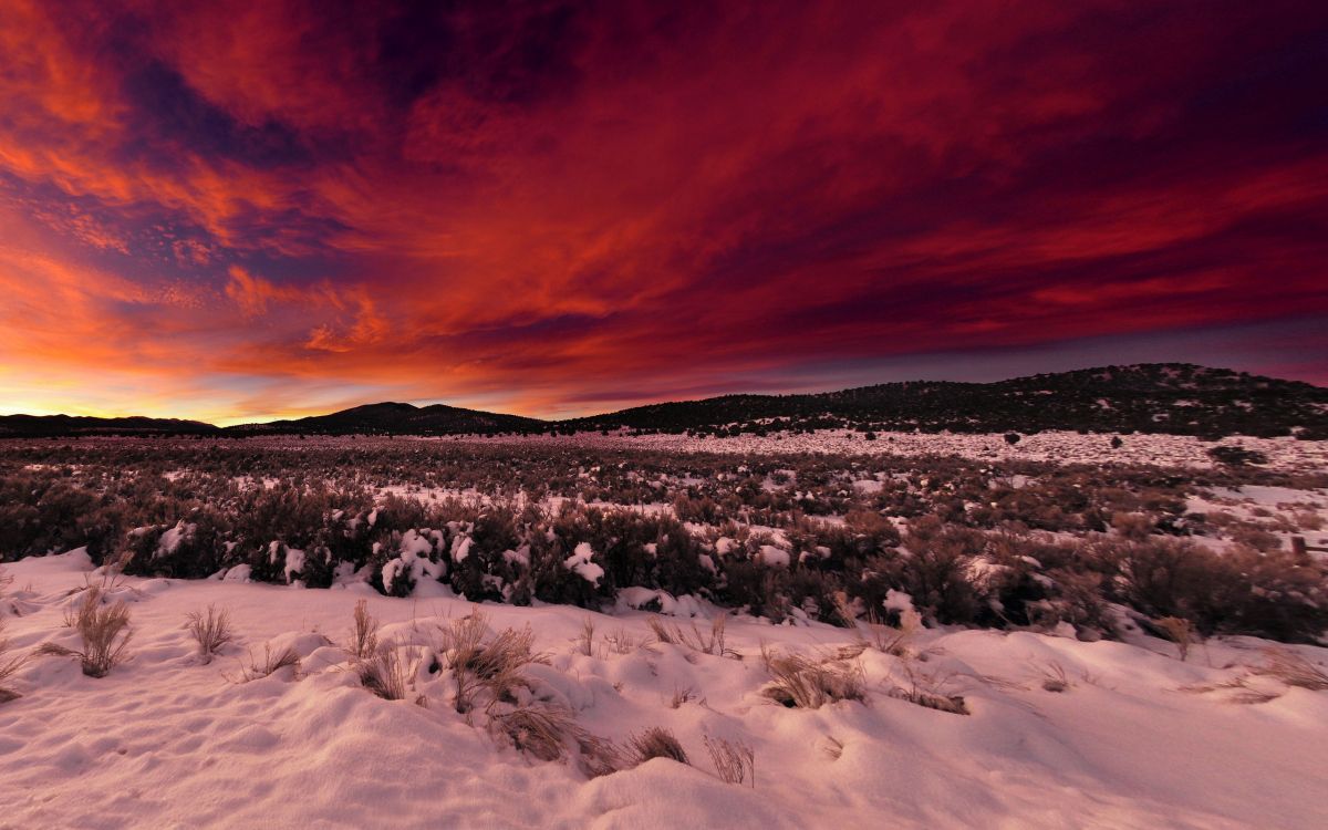Campo Cubierto de Nieve Durante la Puesta de Sol. Wallpaper in 2560x1600 Resolution