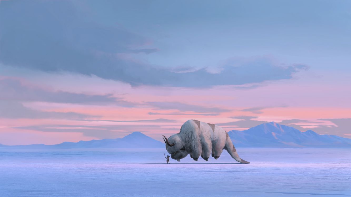 Les Fonds D’écran Avatar, Appa, Art Conceptuel Avatar Netflix, Seigneur du Feu Ozai, L