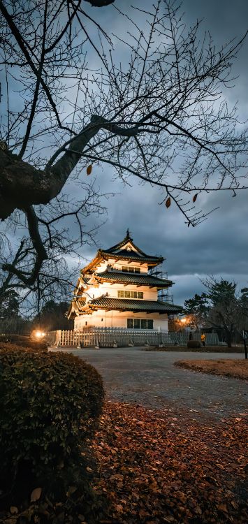 Biología, Edificio, Naturaleza, Sucursal, Templo. Wallpaper in 1422x3000 Resolution