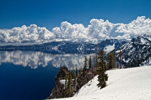 Image green pine trees on snow covered mountain during daytime