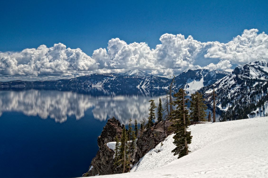 green pine trees on snow covered mountain during daytime