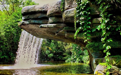 Image brown tree trunk on water falls