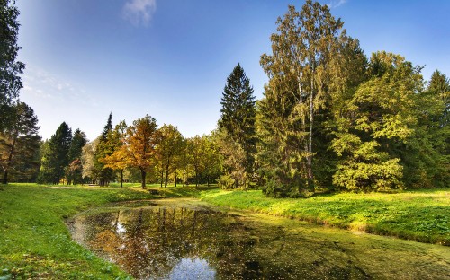 Image green grass field and trees near river under blue sky during daytime