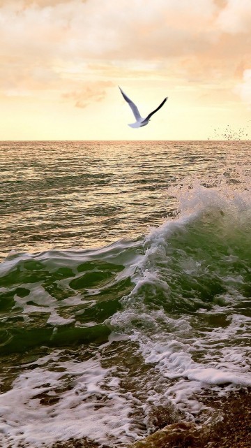 Image ocean waves crashing on shore during sunset