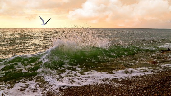Image ocean waves crashing on shore during sunset