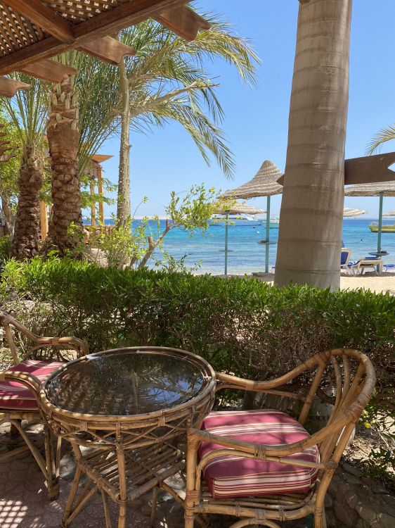 Resort, Palmera, Inmueble, Mueble, Balneario. Wallpaper in 1536x2048 Resolution