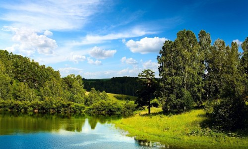 Image green trees beside river under blue sky during daytime