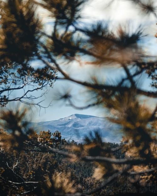 Image reflection, wilderness, natural landscape, nature, woody plant