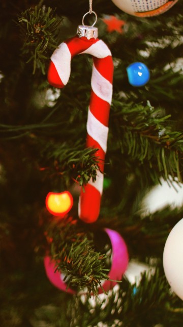 Image christmas tree, christmas ornament, christmas, christmas decoration, tree