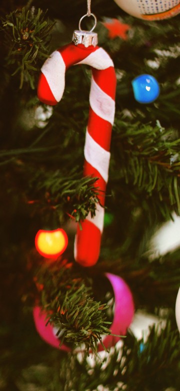 Image christmas tree, christmas ornament, christmas, christmas decoration, tree