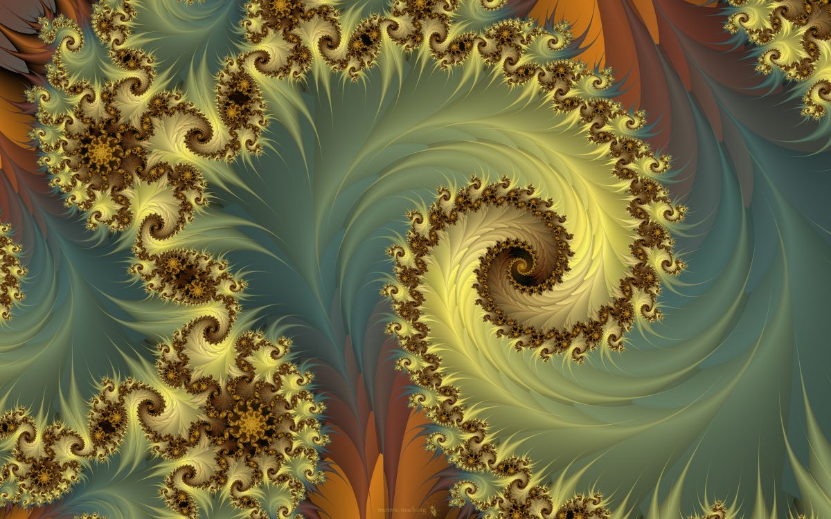 Textile Floral Marron et Blanc. Wallpaper in 2560x1600 Resolution