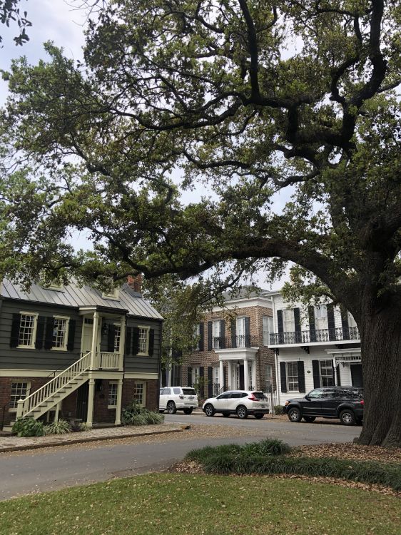 Fenêtre, Propriété, Quartier, Quartier Résidentiel, Bâtiment. Wallpaper in 2930x3907 Resolution