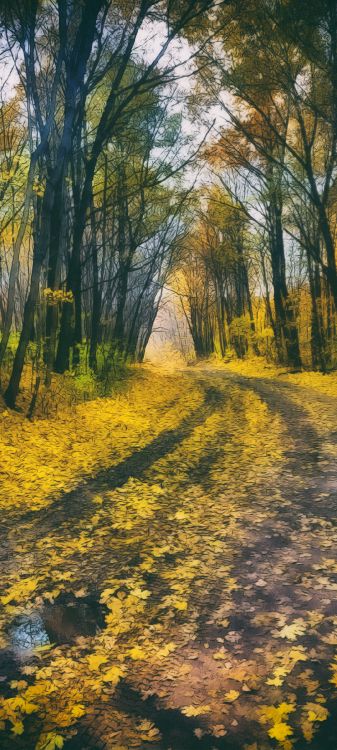 Natur, Menschen in Der Natur, Baum, Holz, Naturlandschaft. Wallpaper in 1080x2400 Resolution