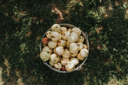 Image white eggs on stainless steel bowl