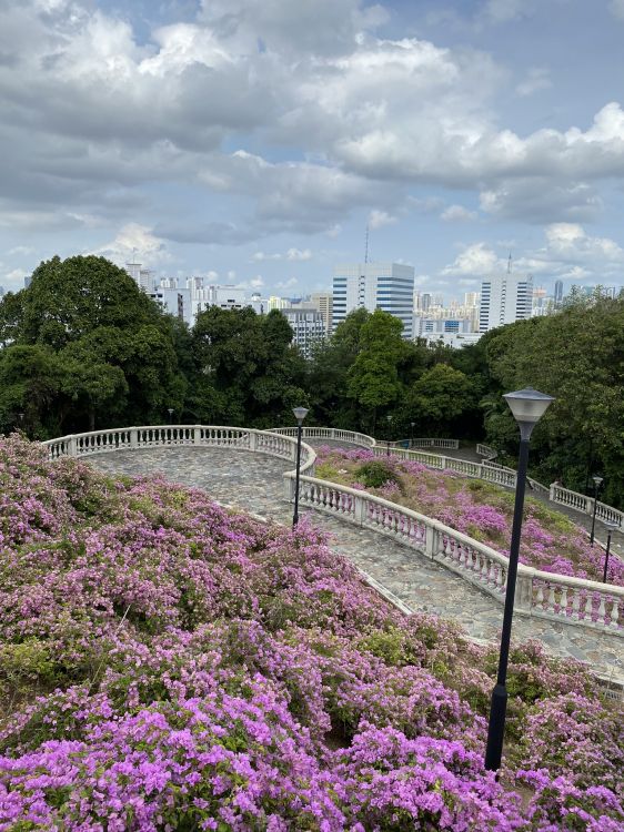 Gewässer, Natur, Vegetation, Blütenblatt, Road. Wallpaper in 1536x2048 Resolution