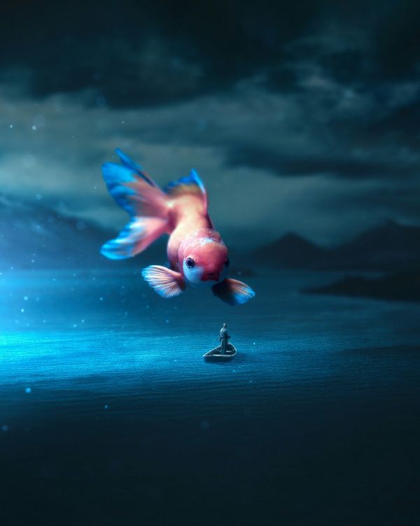 Eau, Oiseau, Bec, Art, Aile. Wallpaper in 2048x2560 Resolution