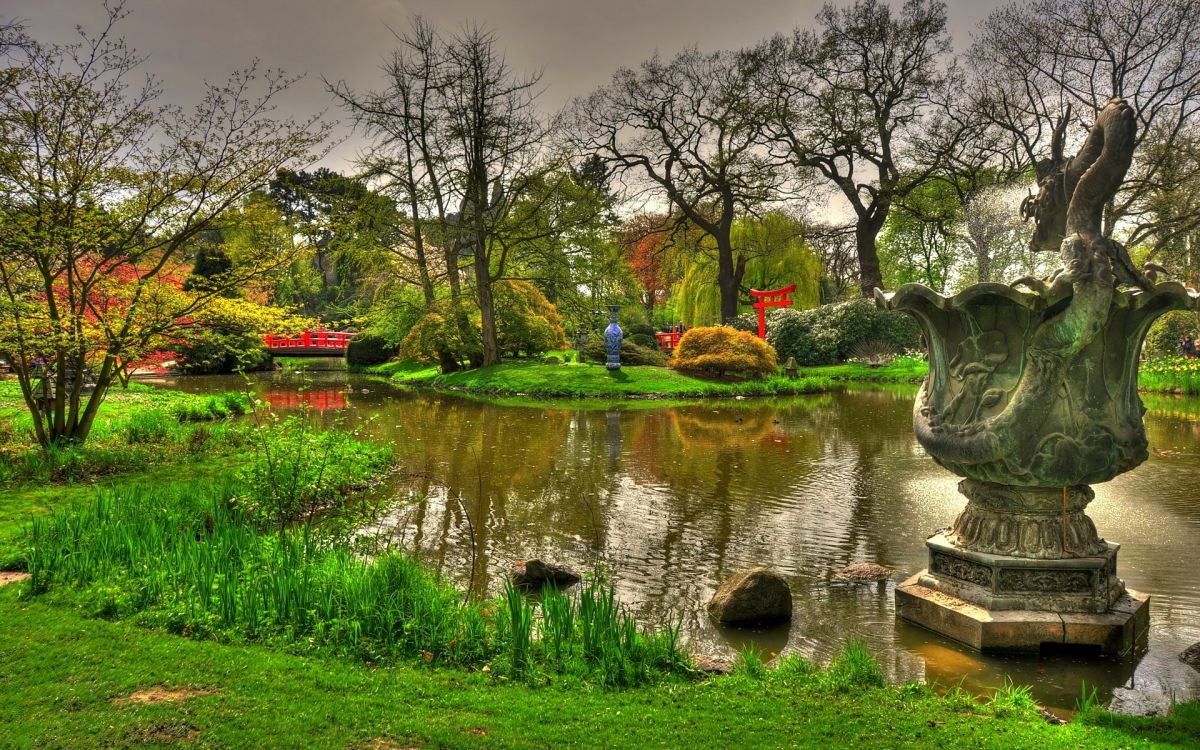 green grass field near body of water during daytime