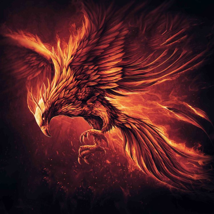 Orange Und Schwarze Drachenillustration. Wallpaper in 3900x3900 Resolution