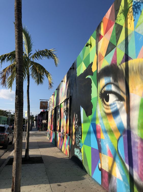 Miami, Mural, Grafiti, Tintes y Matices, Arte. Wallpaper in 1536x2048 Resolution