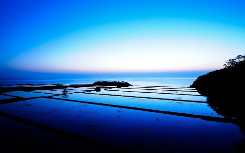 Image silhouette of person walking on beach during sunset