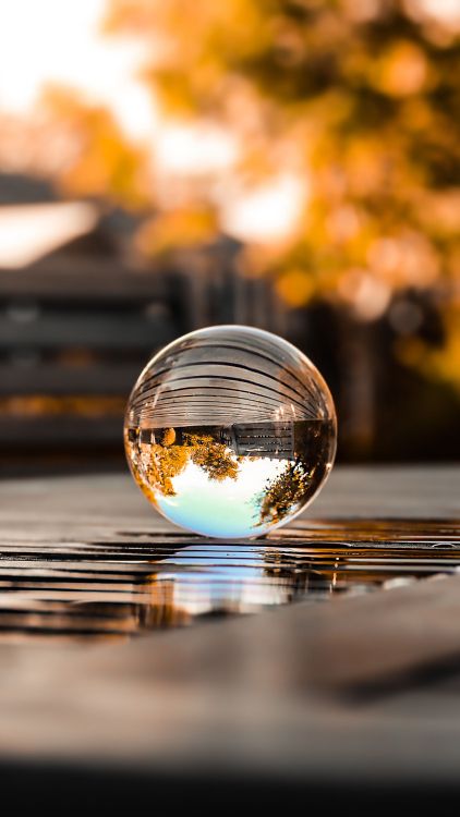 Réflexion, Eau, L'éclairage Automobile, Orange, de Teintes et de Nuances. Wallpaper in 1690x3000 Resolution