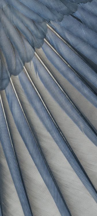 谷歌像素 7a, 像素6a, 谷歌, 智能手机, Azure 壁纸 1080x2400 允许