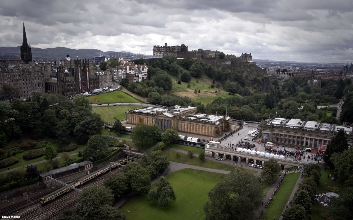 aerial view of green trees and buildings during daytime