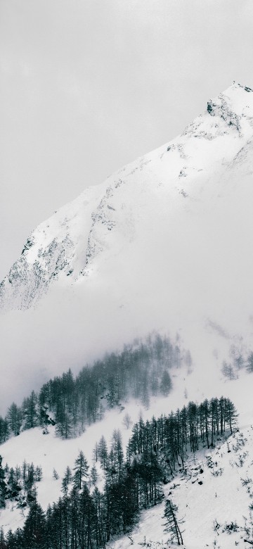 安装的风景壁纸iphone X Xs 安装的风景高清图片 1125x2436 免费下载图片
