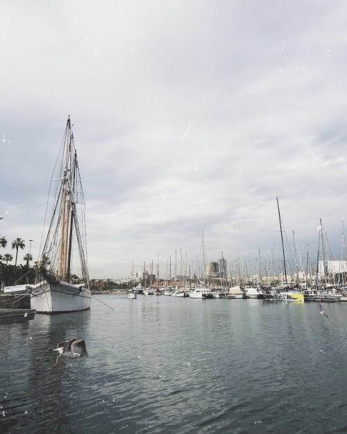 Image marina, Sail, sailing, mast, boat