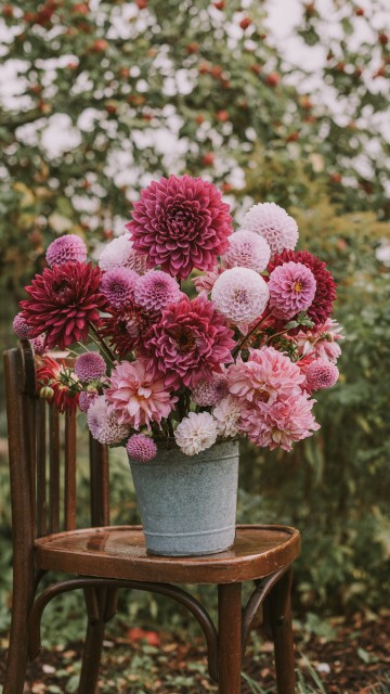 Image pink flowers in gray pot