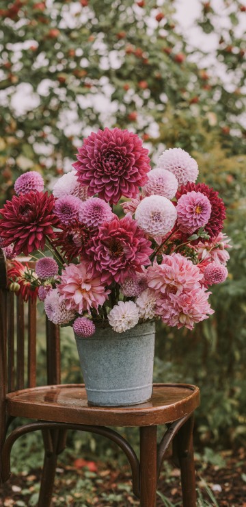 Image pink flowers in gray pot