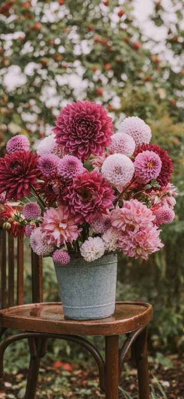 Image pink flowers in gray pot