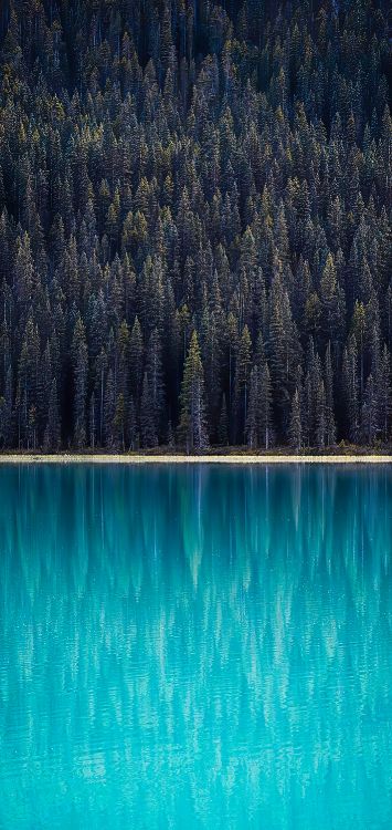 reflection, water, water resources, ecoregion, blue