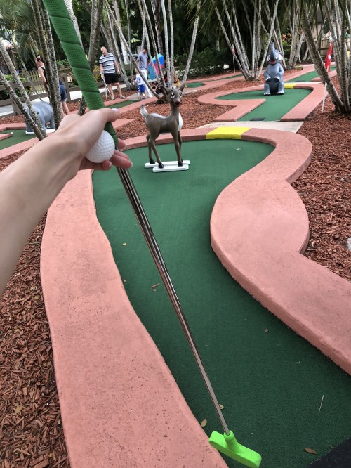 Image Miniature golf, public space, leaf, leisure, woody plant