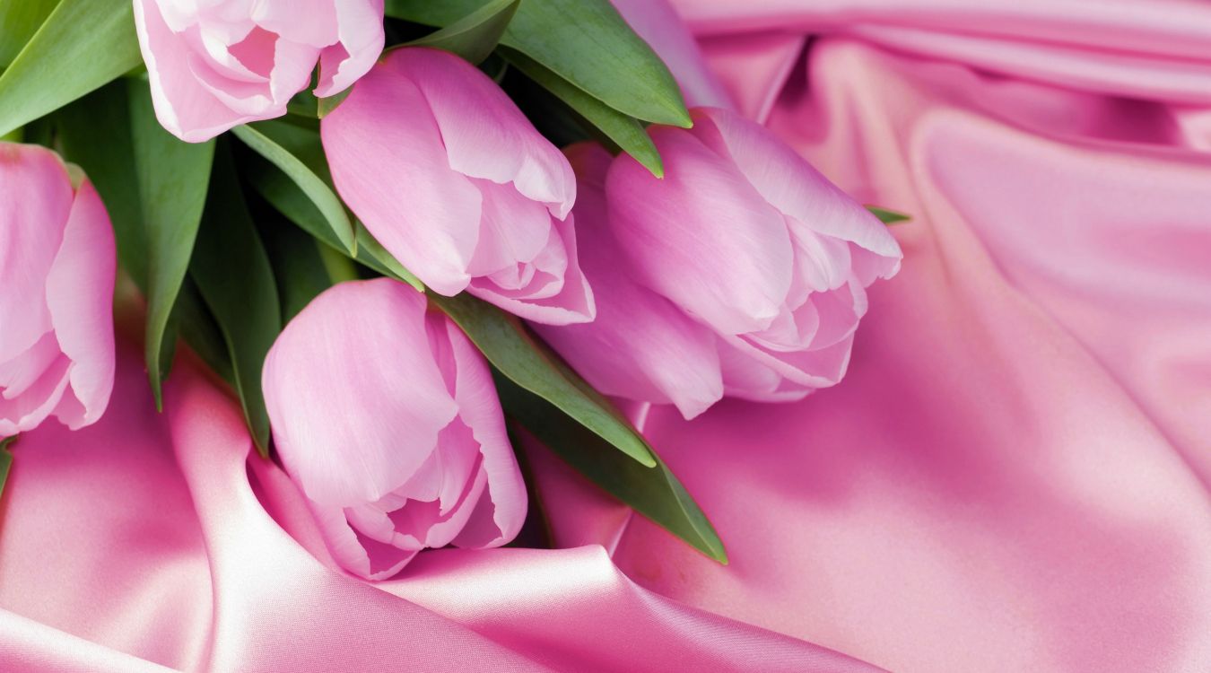 Flor Rosa Sobre Textil Blanco. Wallpaper in 3840x2133 Resolution