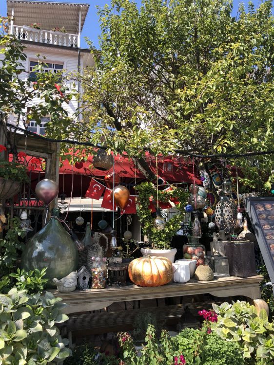 Outdoor-Struktur, Blumentopf, Garden, Calabaza, Winter Squash. Wallpaper in 1536x2048 Resolution