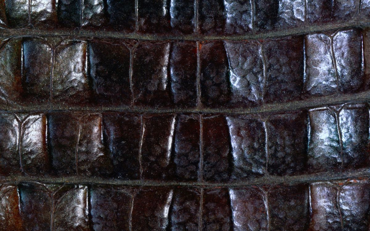 Braune Und Graue Mauer. Wallpaper in 2560x1600 Resolution