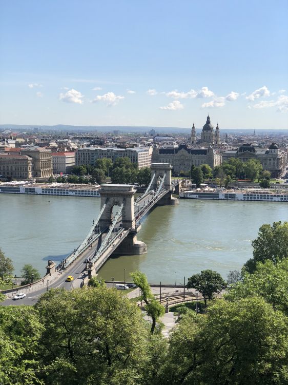 Budapest, Szchenyi Puente de Las Cadenas, Cuerpo de Agua, Puente, la Vía Navegable. Wallpaper in 1536x2048 Resolution