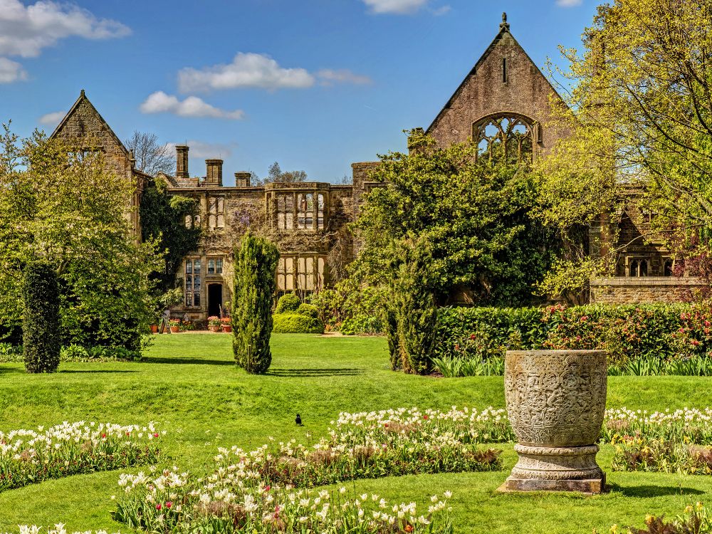 性质, 酒店, 花园, 草, 大厦 壁纸 4000x3000 允许