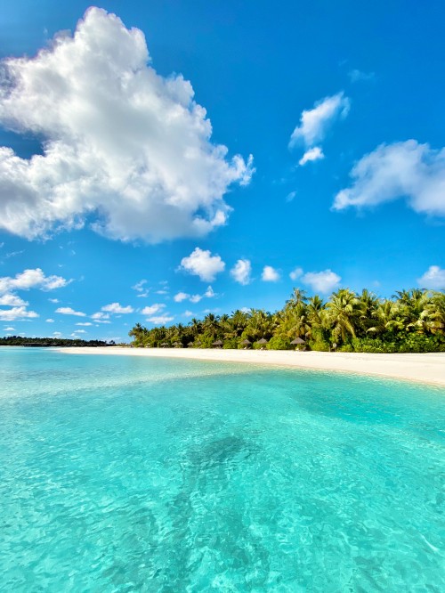 Image body of water, blue, nature, sea, tropics