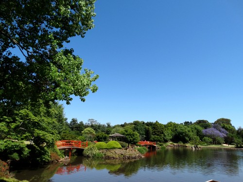 Image green trees beside river under blue sky during daytime