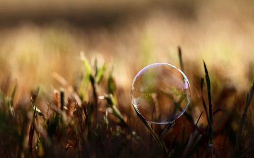 Image water drop on green grass during daytime